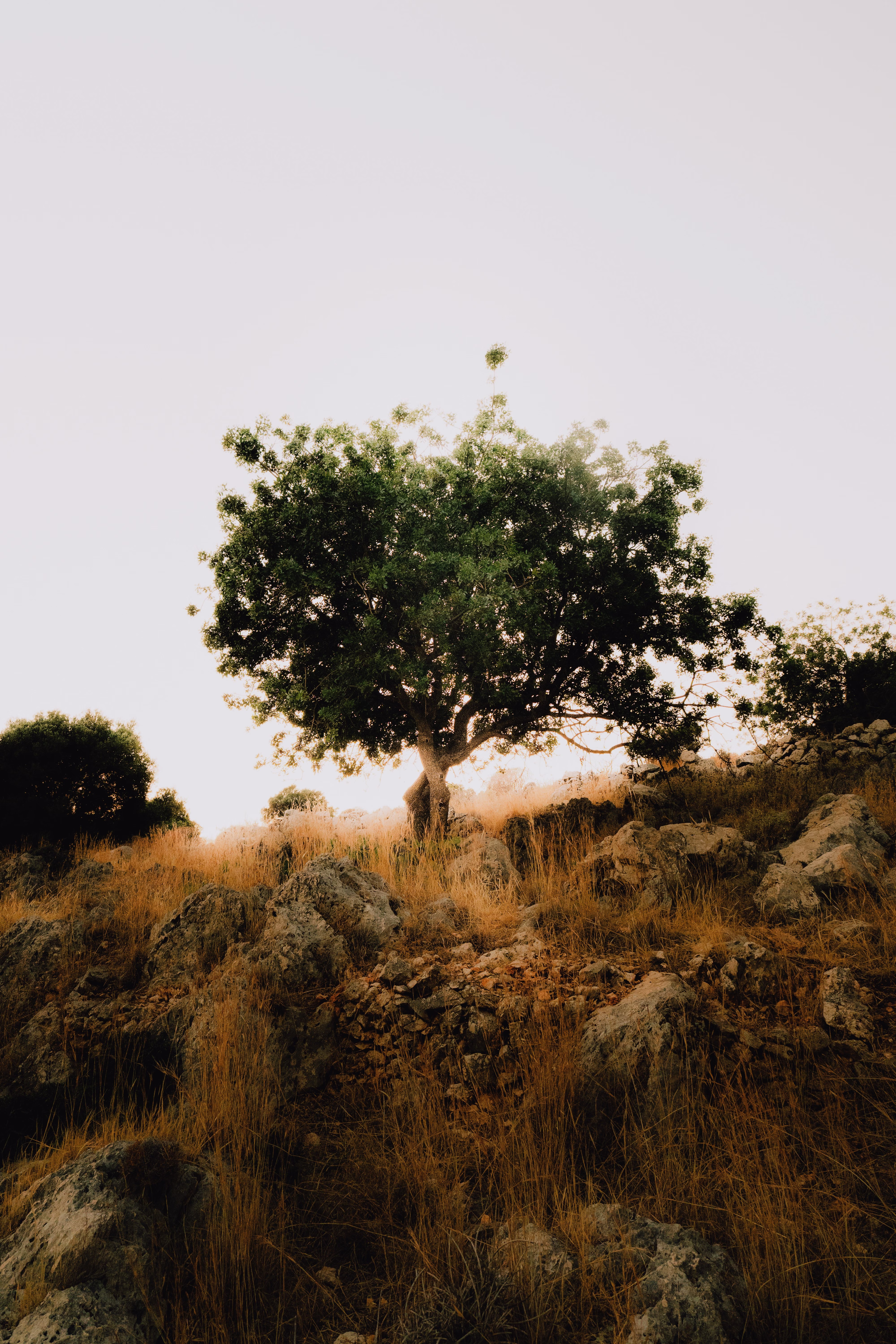 Selected Work 18