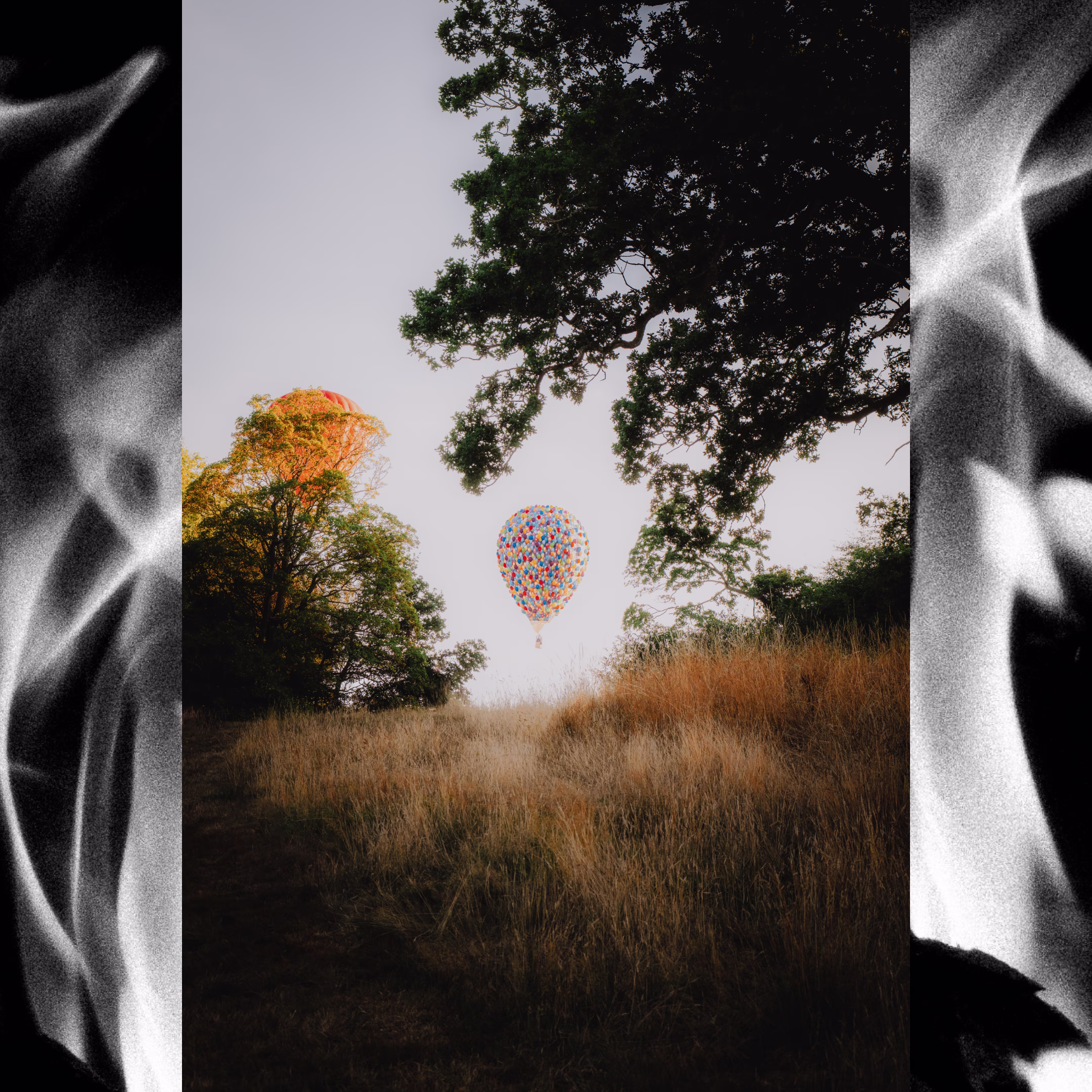 Photography Portfolio