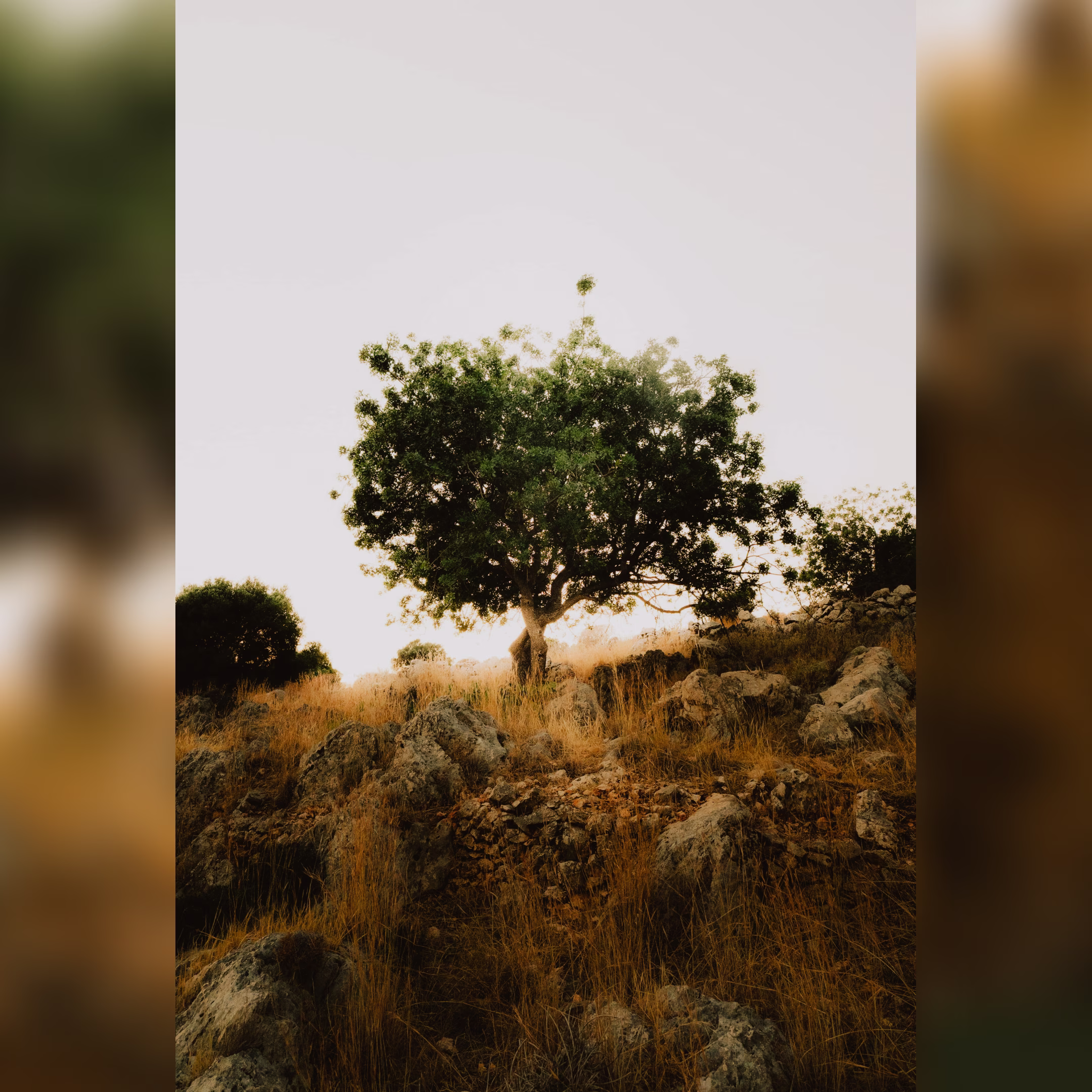 Photography Portfolio